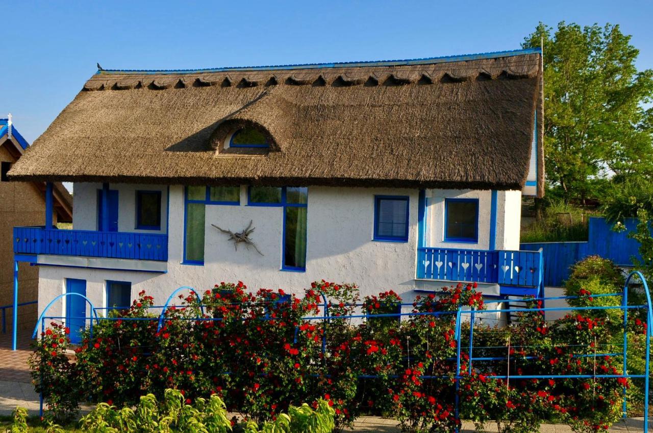 Nena Art Resort Dunavăţu de Jos Kültér fotó