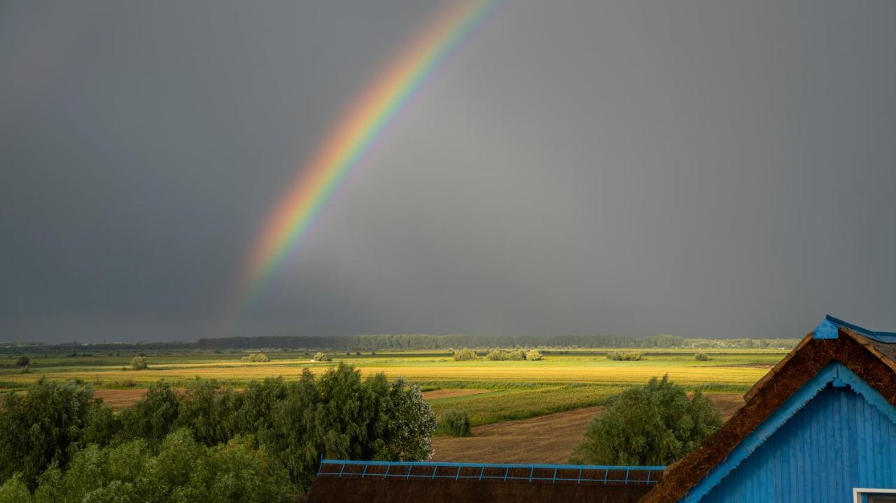 Nena Art Resort Dunavăţu de Jos Kültér fotó
