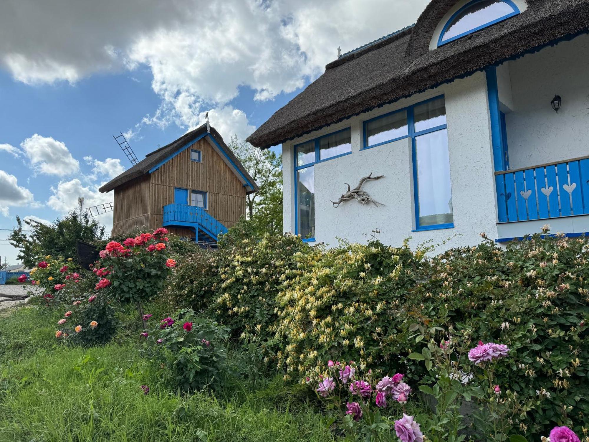 Nena Art Resort Dunavăţu de Jos Kültér fotó