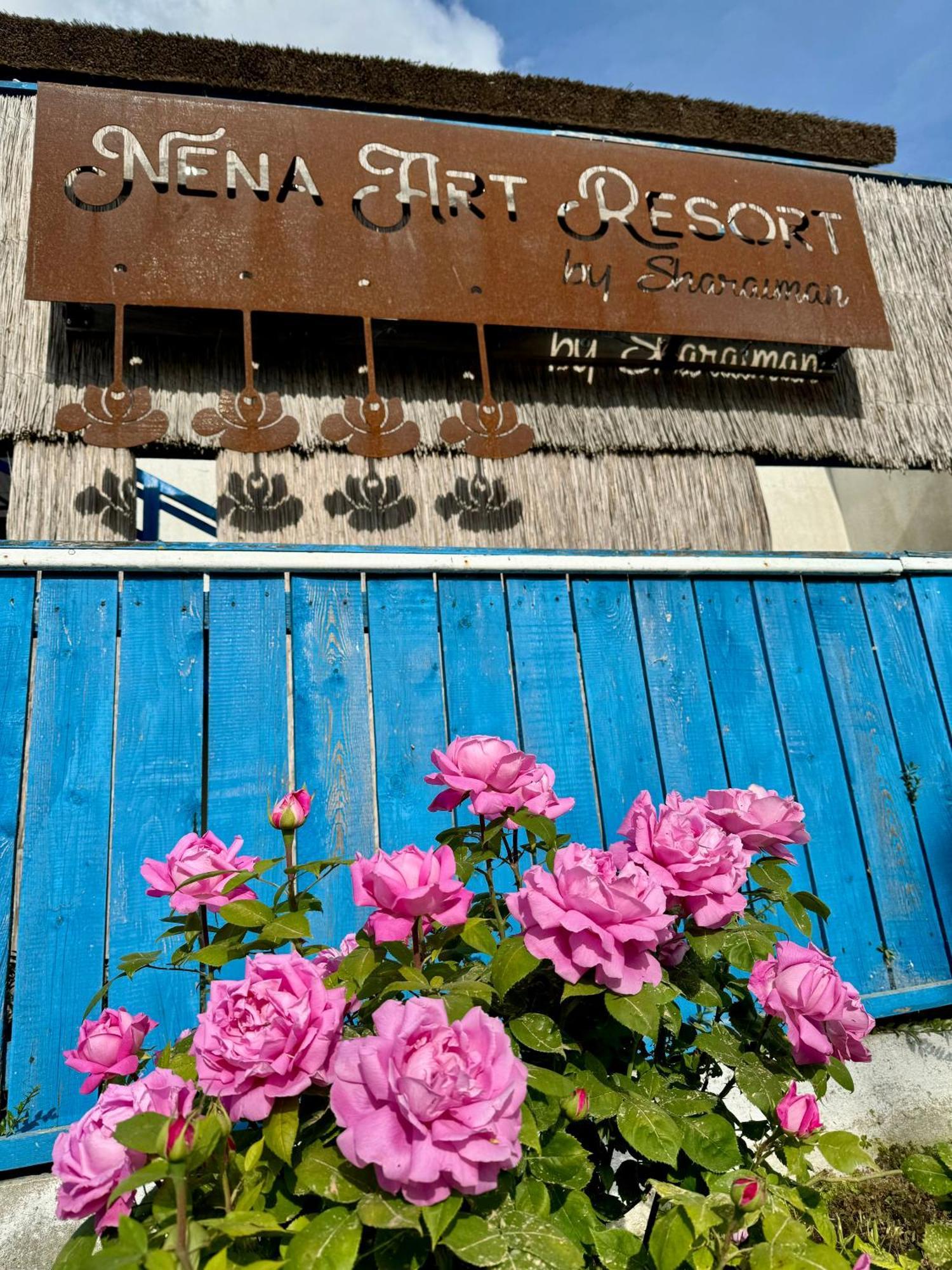 Nena Art Resort Dunavăţu de Jos Kültér fotó