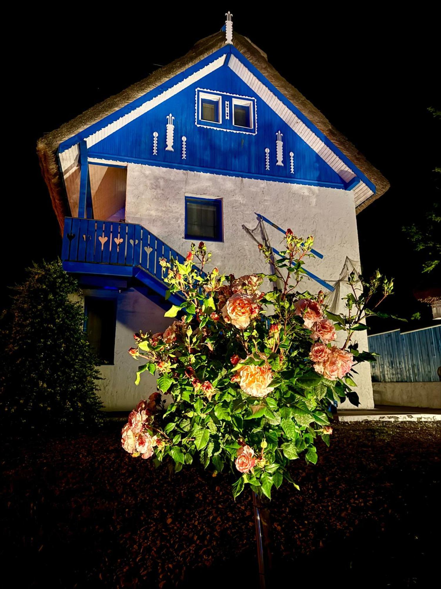 Nena Art Resort Dunavăţu de Jos Kültér fotó