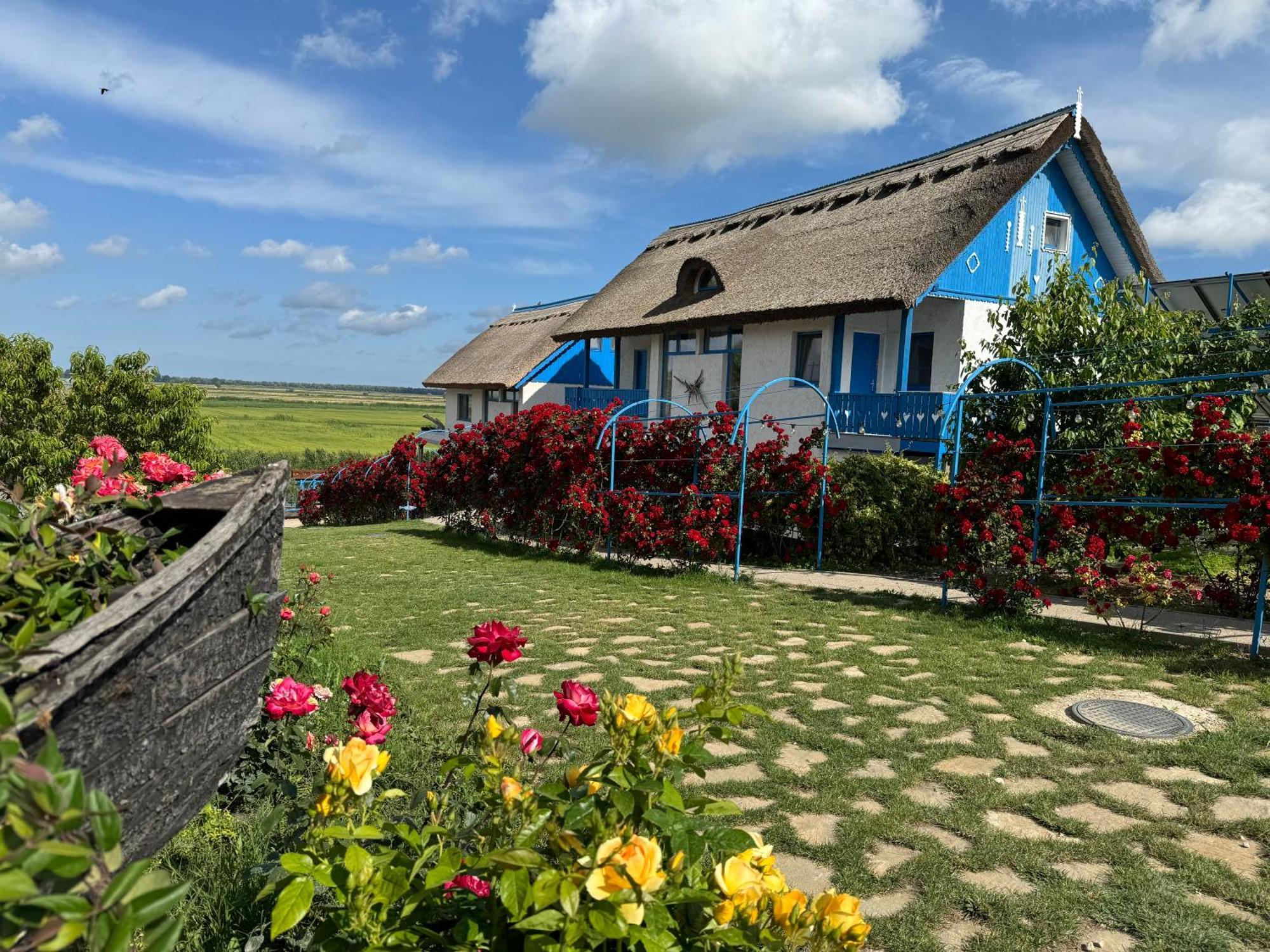 Nena Art Resort Dunavăţu de Jos Kültér fotó