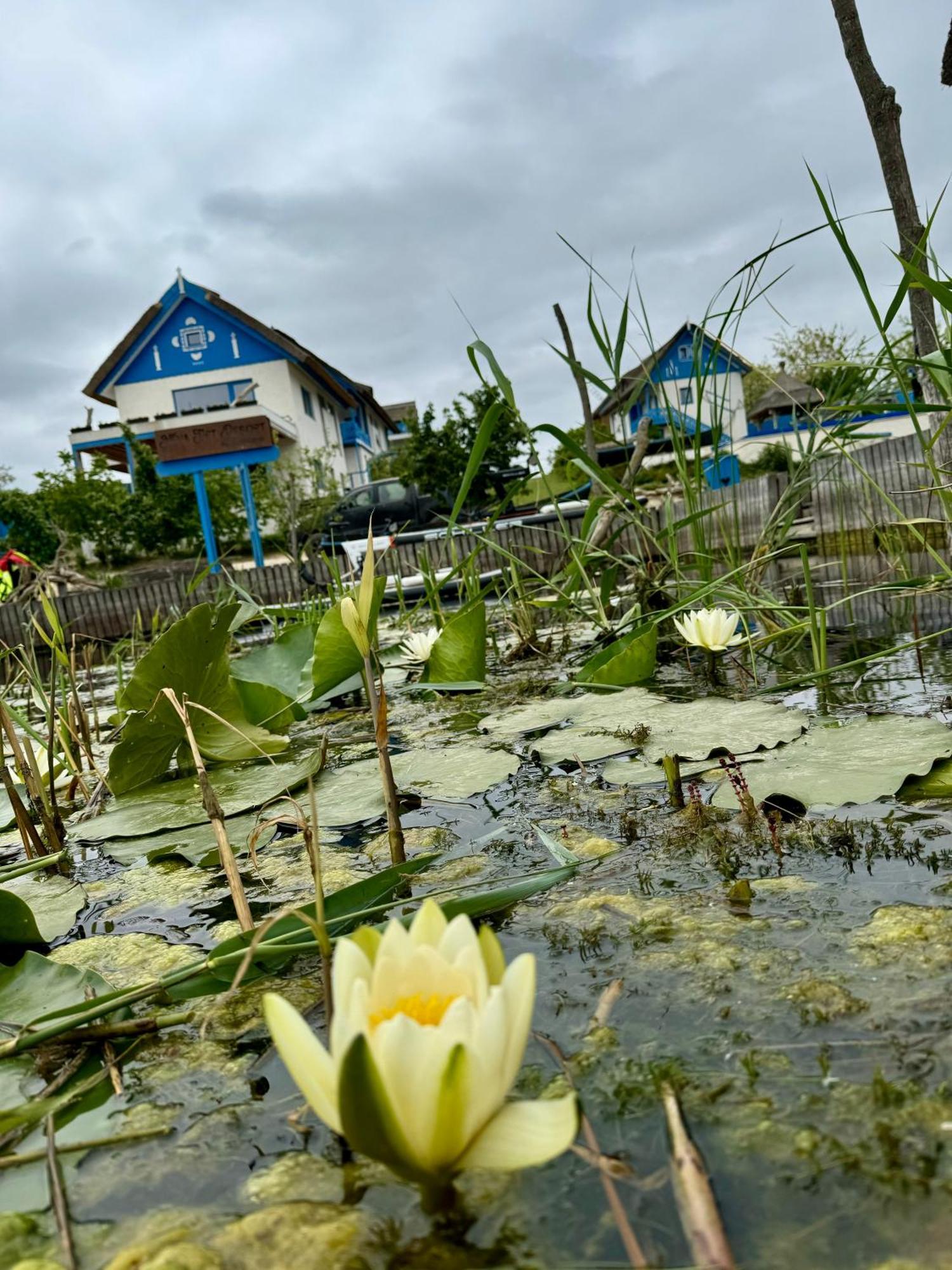 Nena Art Resort Dunavăţu de Jos Kültér fotó